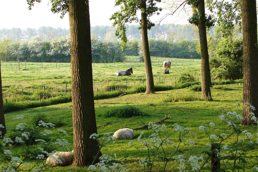 Do'S Chalets Baarland Esterno foto